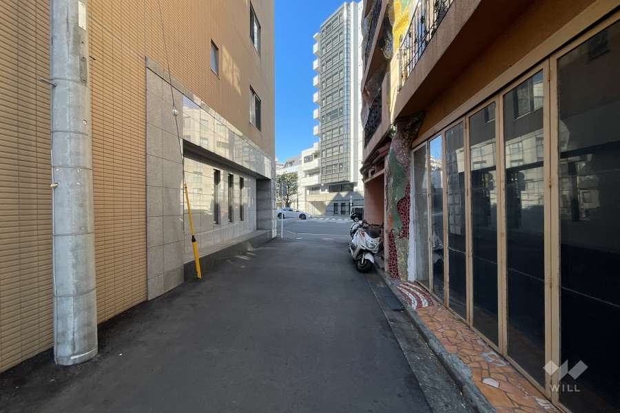 敷地の北東側前面道路（南東側から）