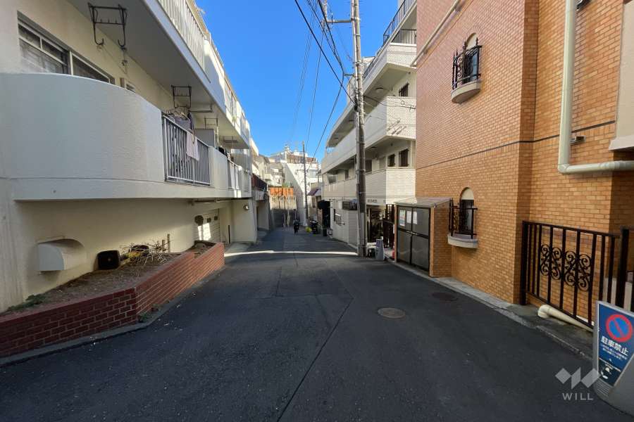 敷地の北側前面道路（西側から）