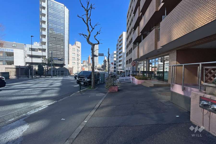 敷地西側の前面道路　