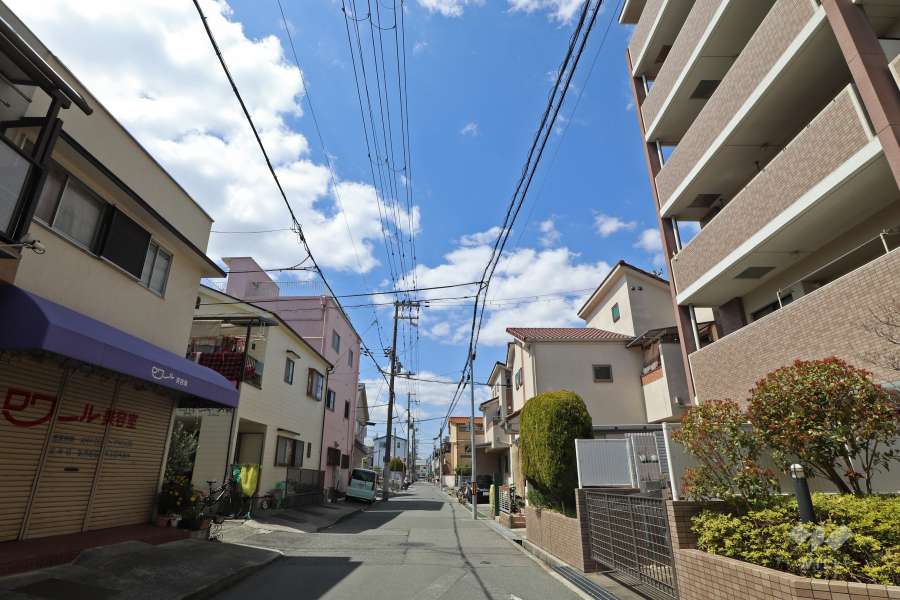 敷地南側の前面道路。周辺は静かな住宅地です。