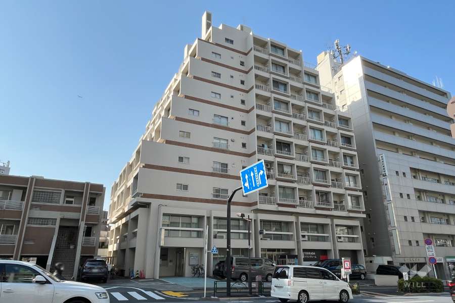 メゾンドール高田馬場の外観（南東側から）