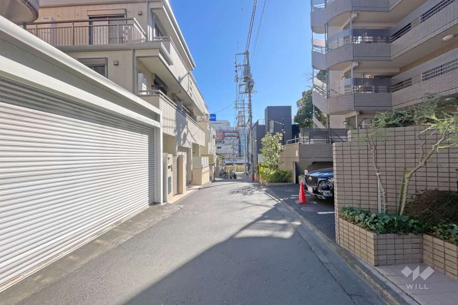 敷地北側の前面道路（西側から）