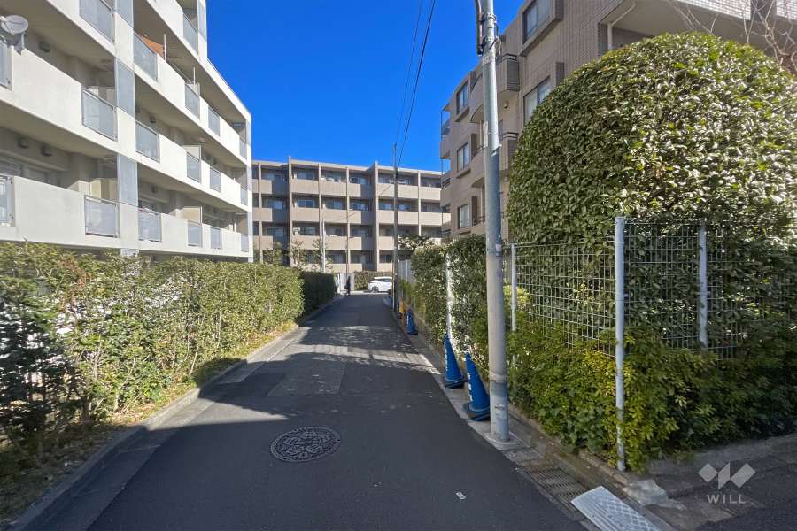 敷地西側の前面道路（南側から）