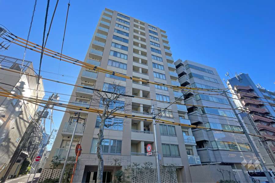 THEパームス高田馬場四丁目の外観（北側から）