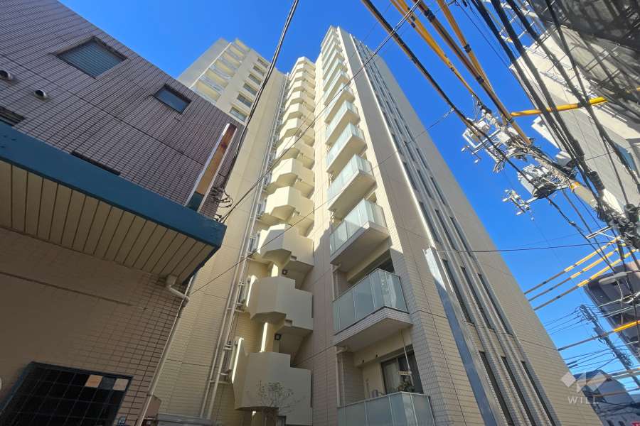 THEパームス高田馬場四丁目の外観（北東側から）