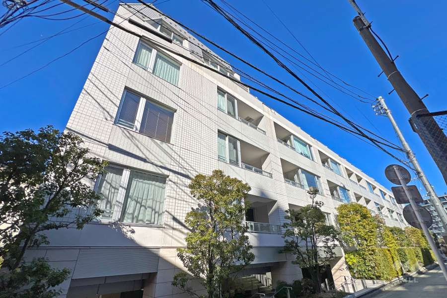 ピアース高田馬場の外観（南東側から）