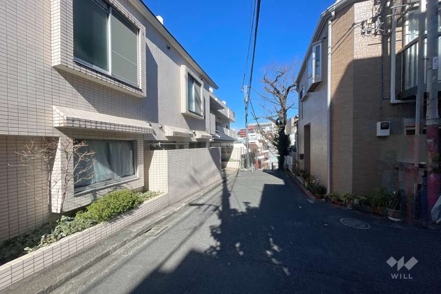 敷地東側の前面道路　