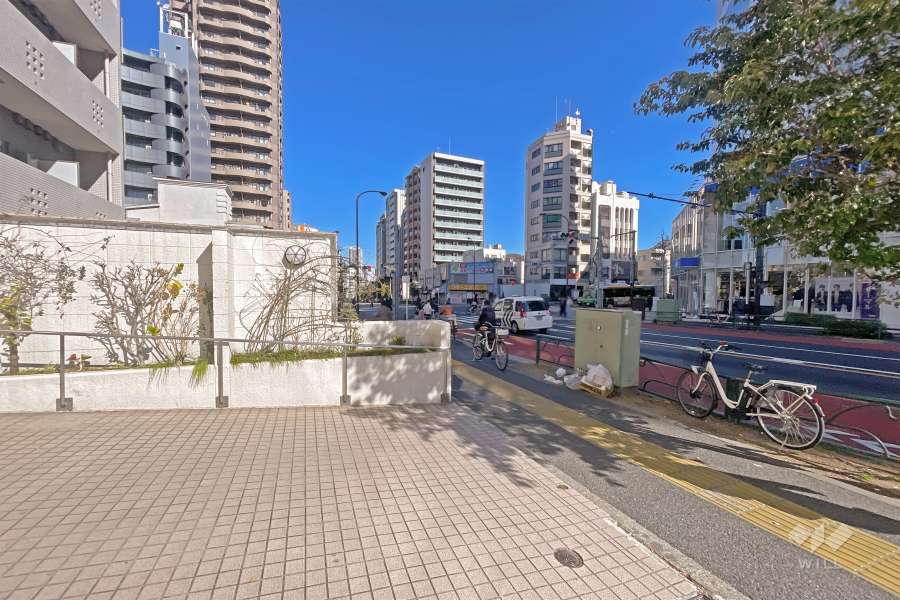 敷地東側の前面道路（南側から）