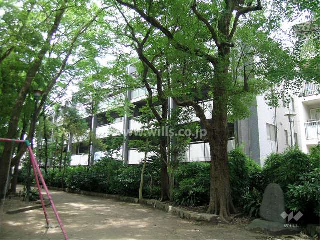 敷地の南側は富松神社の境内に面しています。