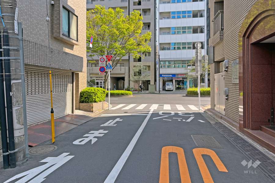 敷地の西側前面道路（北側から）