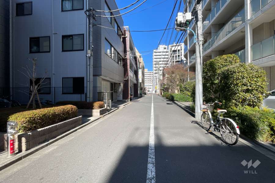 敷地の東側前面道路（南側から）