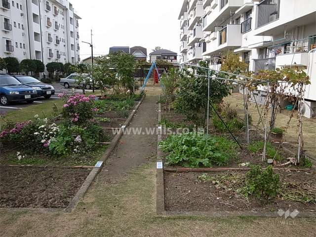 家庭菜園スペースと公園