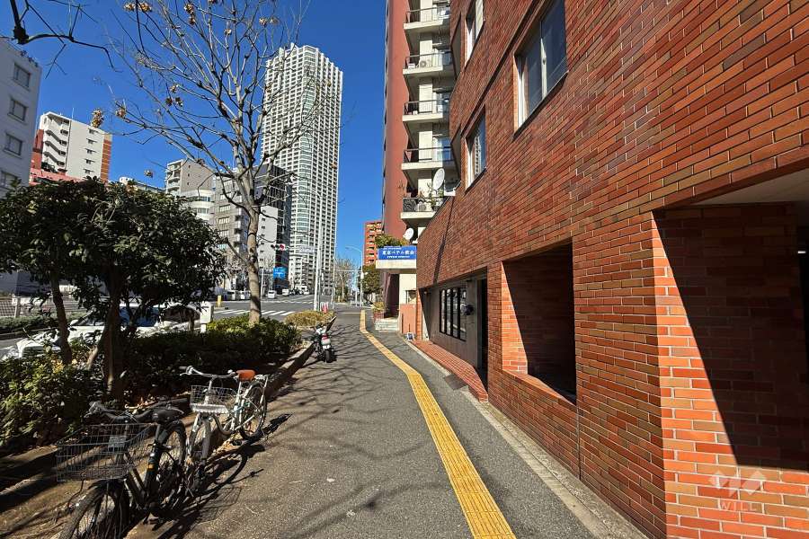 敷地西側の前面道路（南側から）