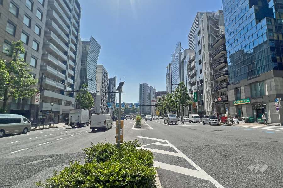 敷地南側の前面道路は新宿通りです（東側から）。