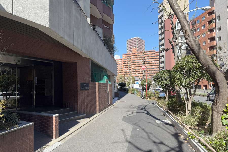 敷地東側の前面道路
