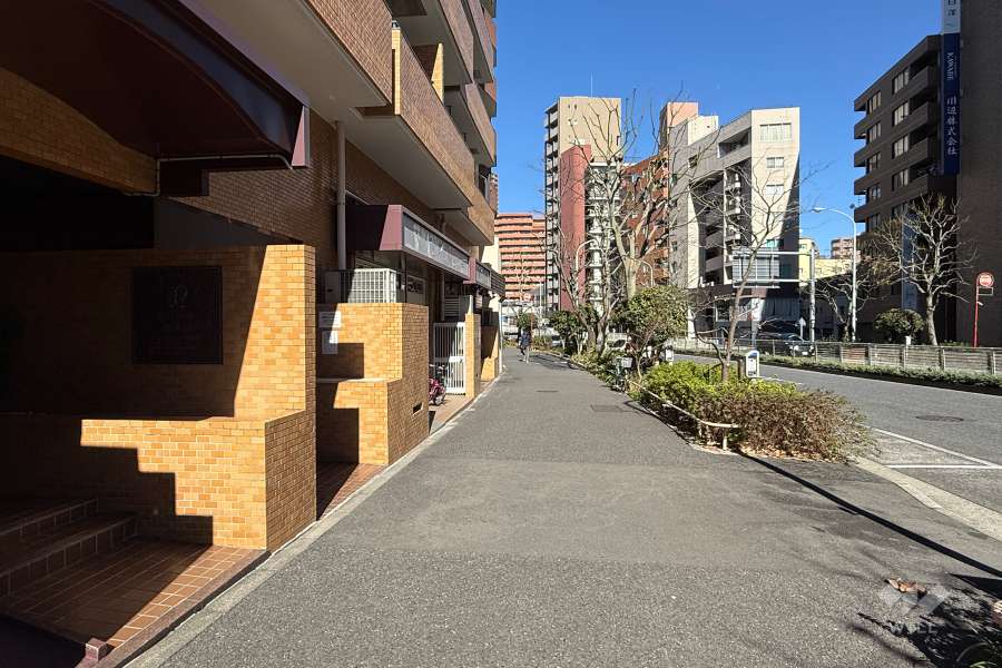 敷地東側の前面道路