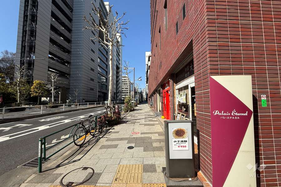 敷地の南側前面道路（東側から）