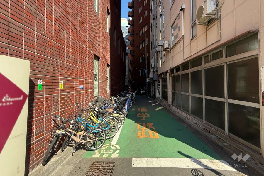 敷地の東側前面道路（南側から）