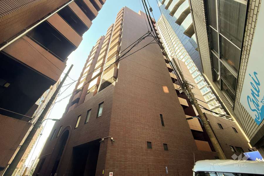 パレエテルネルの外観（北東側から）