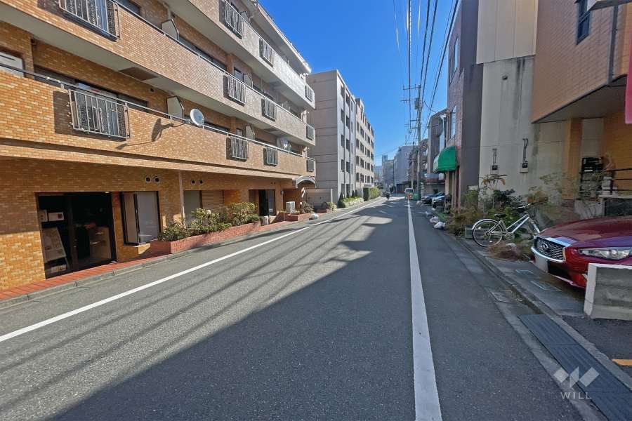 敷地の南側前面道路（西側から）