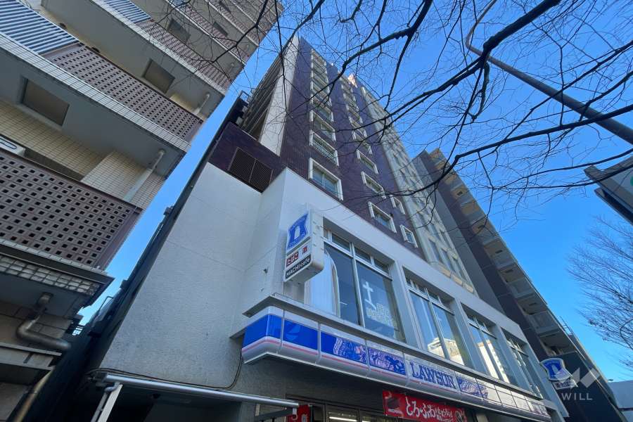 ニューハイム坂町の外観（北東側から）