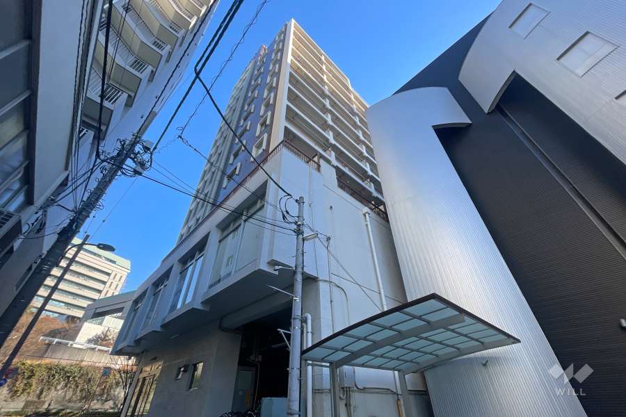 ニューハイム坂町の外観（南西側から）