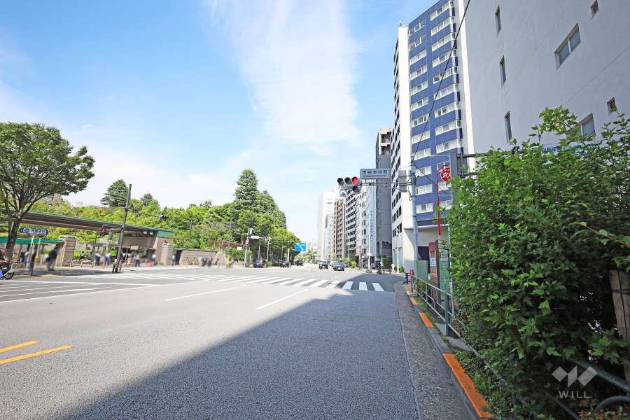敷地北側の前面道路（西側から）