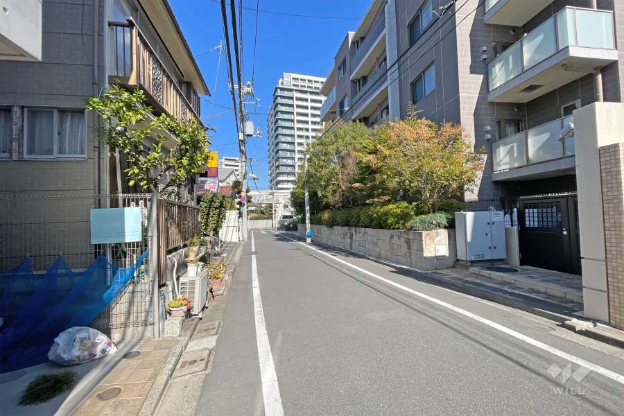 敷地西側の前面道路（南側から）