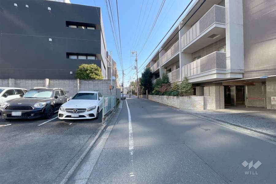 敷地北側の前面道路（西側から）