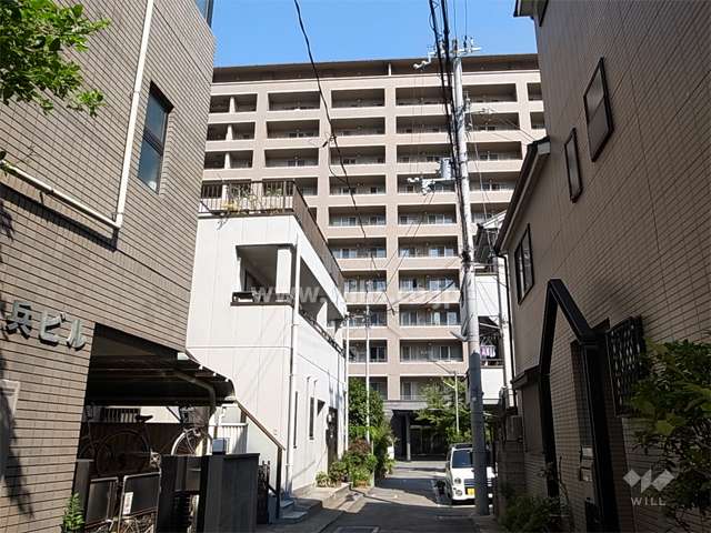 敷地の南側には一戸建てが中心に立ち並んでいます。