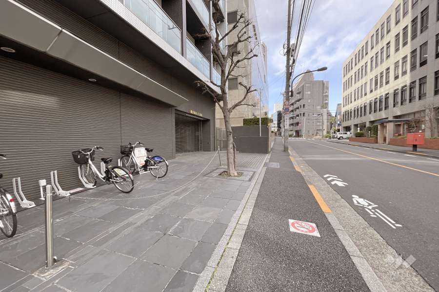敷地南西側の前面道路（南東側から）