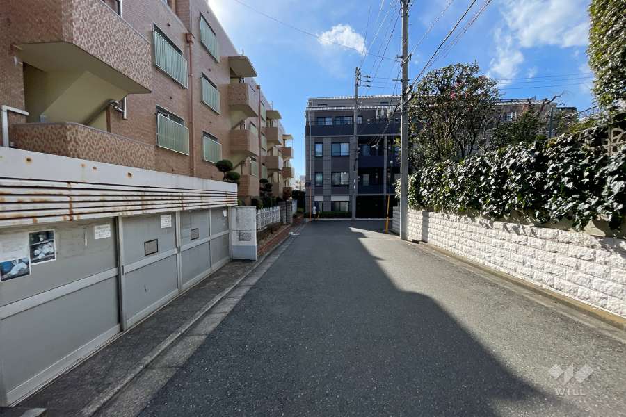 敷地西側の前面道路（北側から）