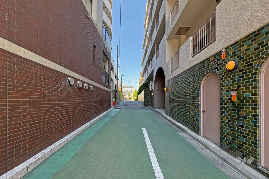 敷地西側前面道路（南側から）