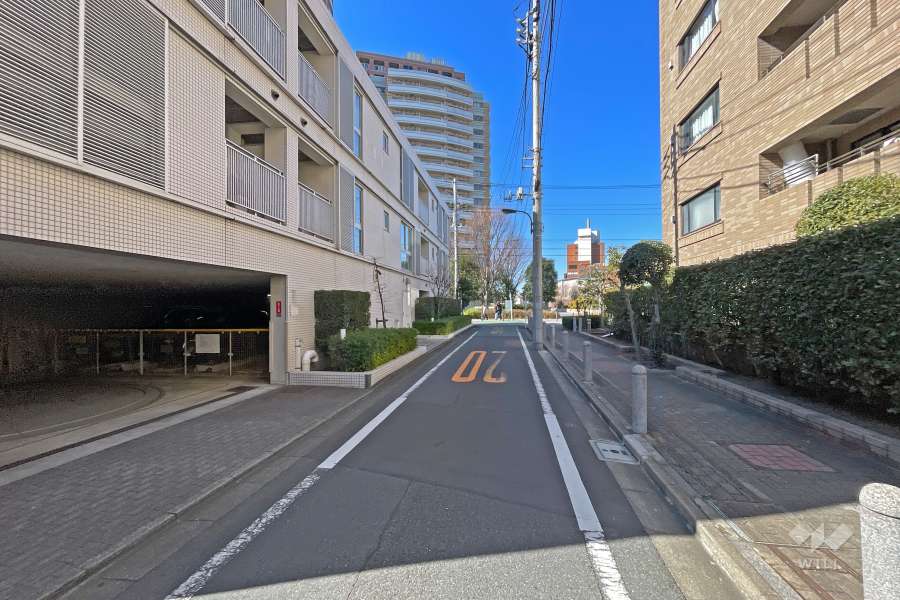 敷地の北側前面道路（東側から）