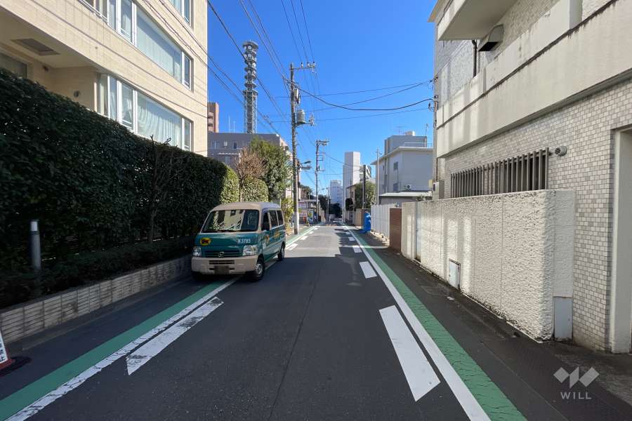 敷地の南側前面道路（西側から）