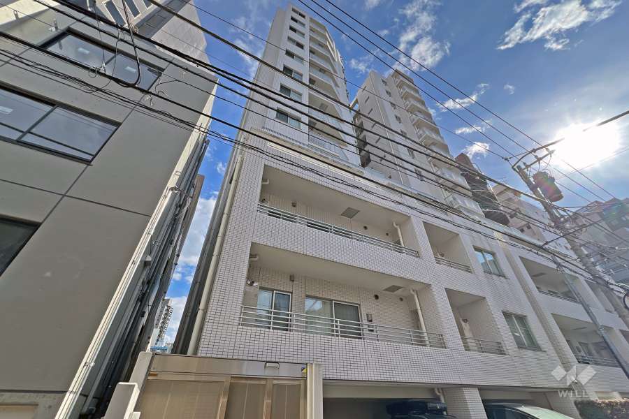 ブランズ市谷田町の外観（北側から）