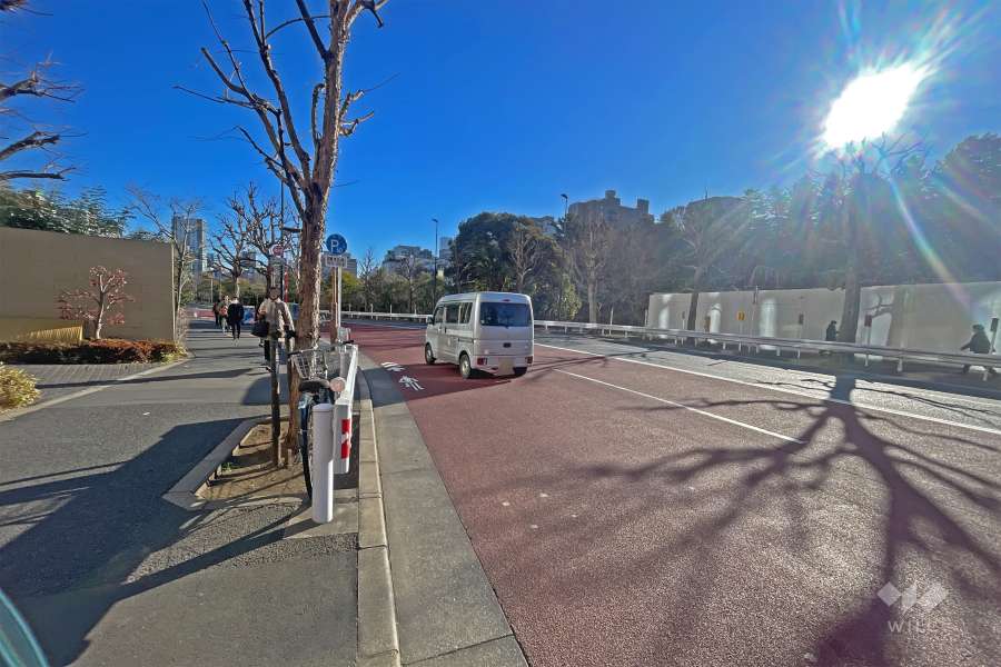 敷地の南側前面道路（西側から）。『外堀公園』の桜並木に面しています。