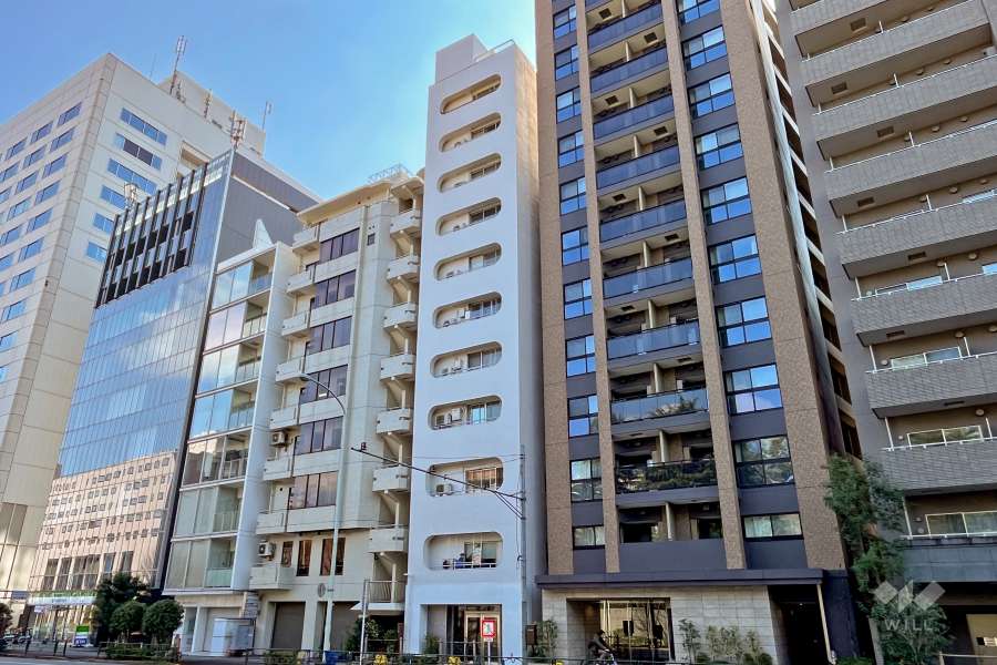 市ヶ谷ホワイトレジデンスの外観（北西側から）