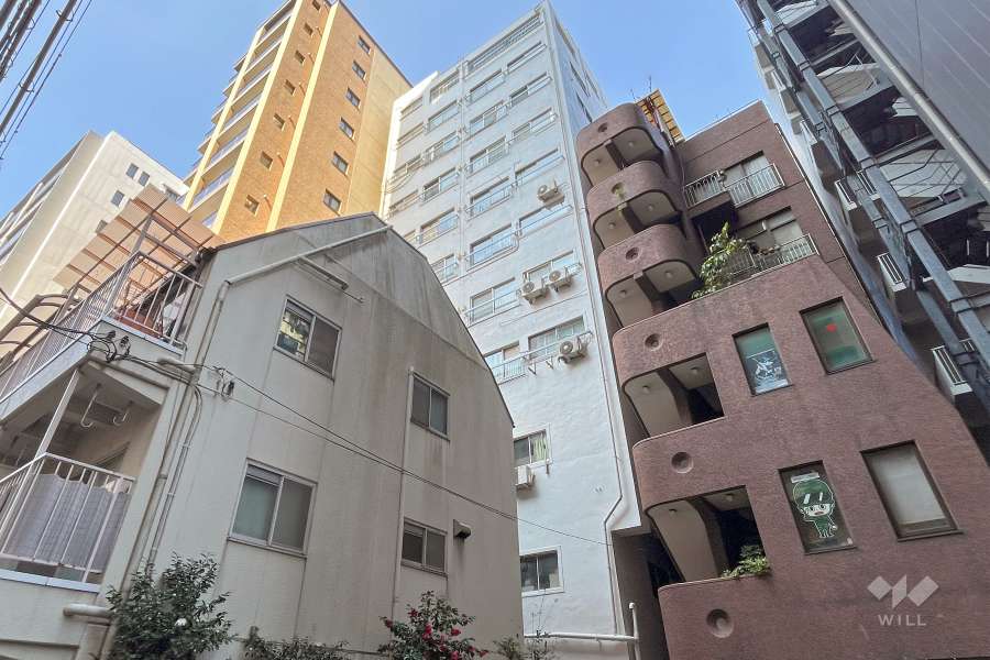 市ヶ谷ホワイトレジデンスの外観（南東側から）