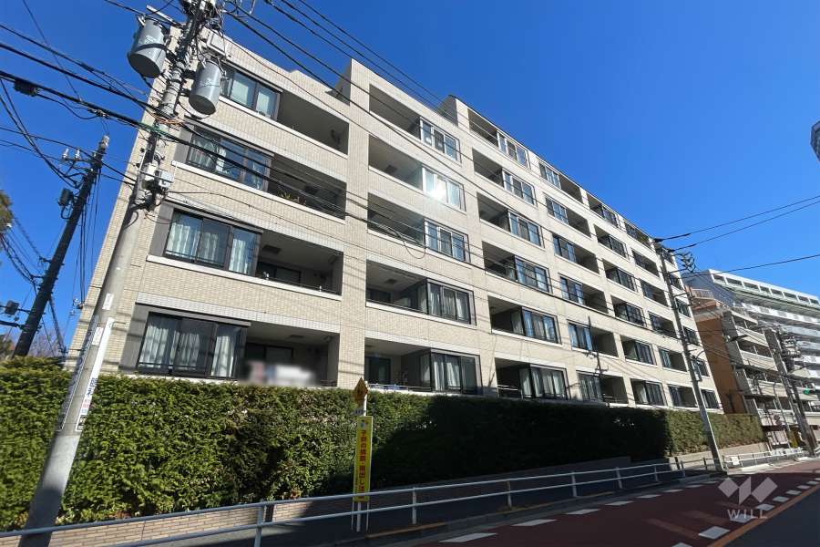 ザヒルズ市谷薬王寺の外観（南西側から）