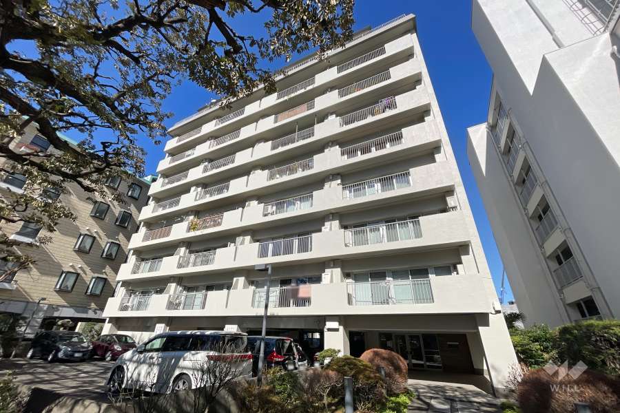 市ヶ谷ハウス（市谷薬王寺町）の外観（南東側から）