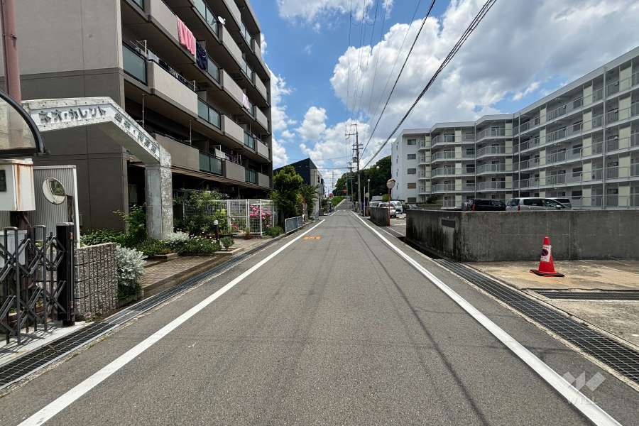 敷地南側の前面道路