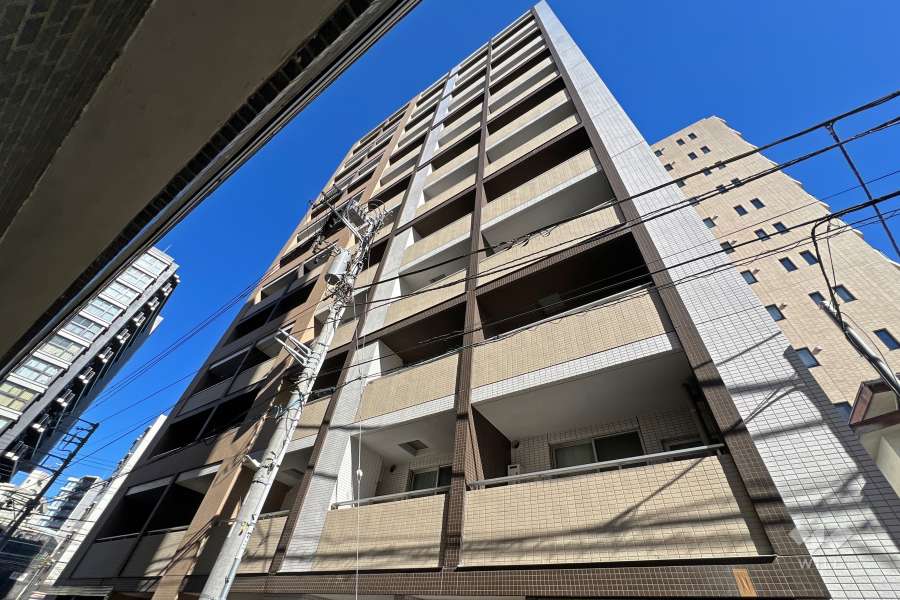 シティインデックス新宿若松町の外観（南西側から）