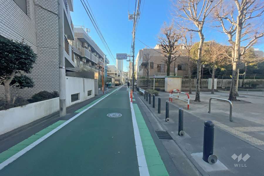 敷地の西側前面道路（北側から）
