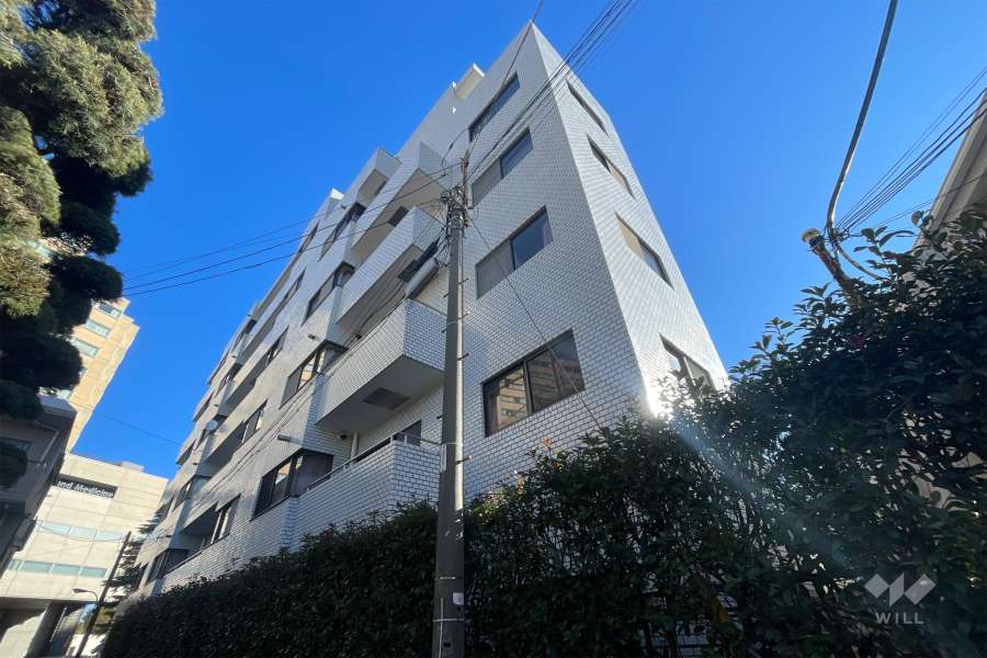 ルミナール若松町の外観（南西側から）