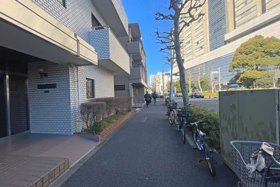 敷地北側の前面道路