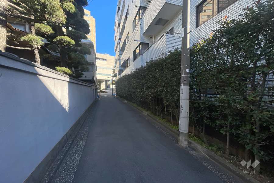 敷地西側の前面道路