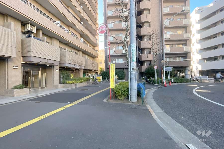 敷地西側の前面道路（北側から）