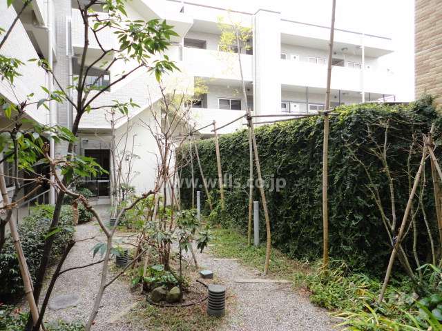 マンションの中庭