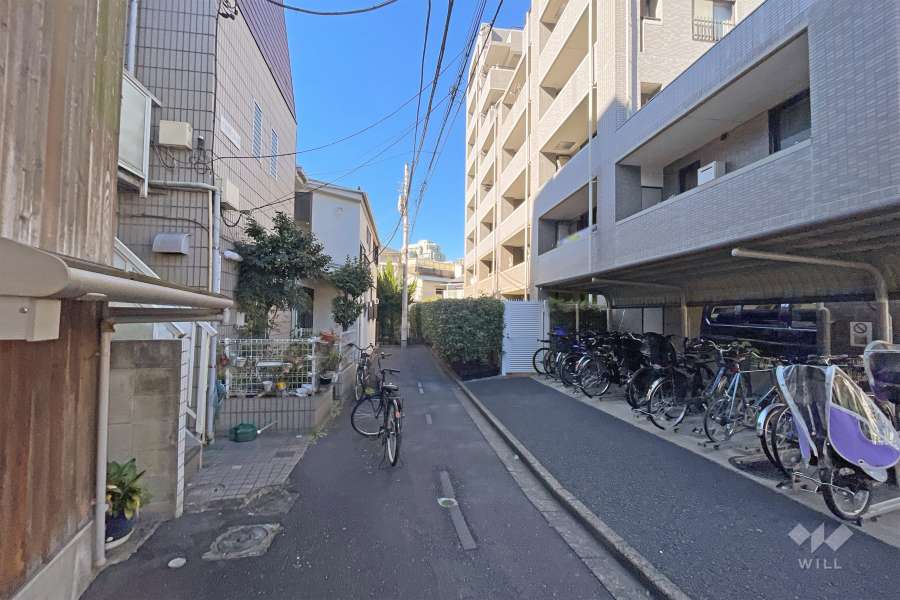 敷地南側の前面道路（東側から）